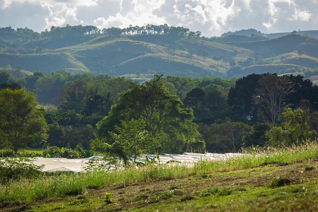 Foto a área agrícola no planalto