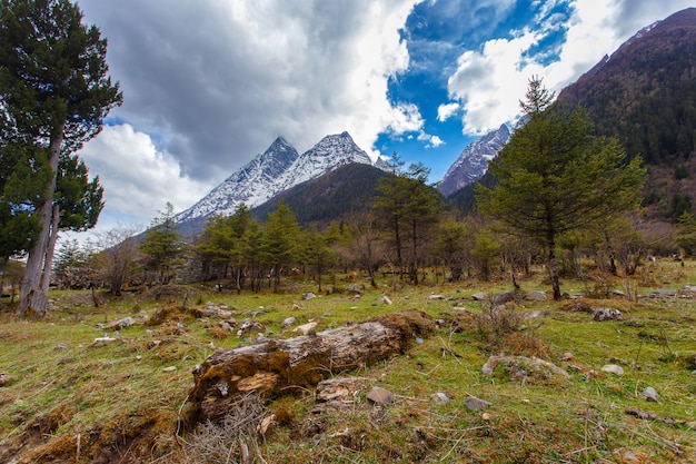 A área cénica da montanha de quatro donzelas (mt. siguniangshan) é um parque selvagem intacto