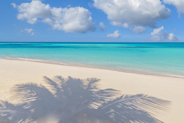 A areia branca ensolarada da praia do paraíso e as palmeiras de coco deixam sombras. Paisagem de férias de verão, tropical
