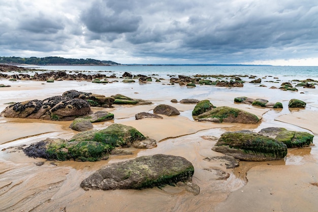 A areia molhada e as rochas cobertas de algas e mexilhões são visíveis na maré baixa numa praia