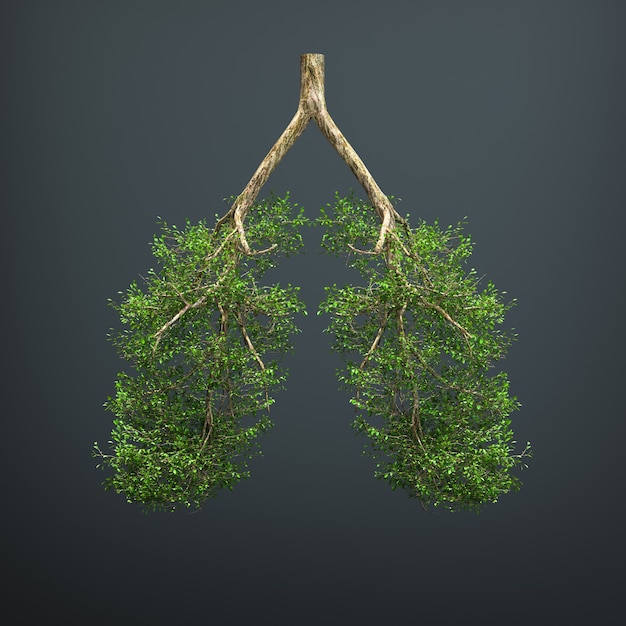 A árvore cresce na forma de um pulmão humano.
