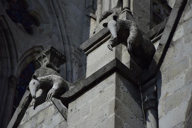 A basílica da nacional é uma igreja católica romana localizada no centro histórico de quito