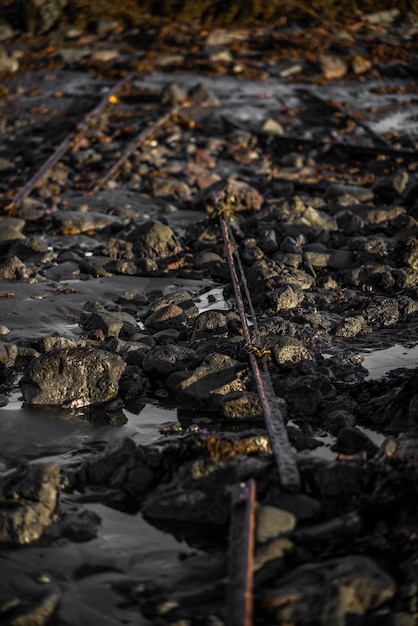 Foto À beira-mar, pedaços de metal enferrujados.