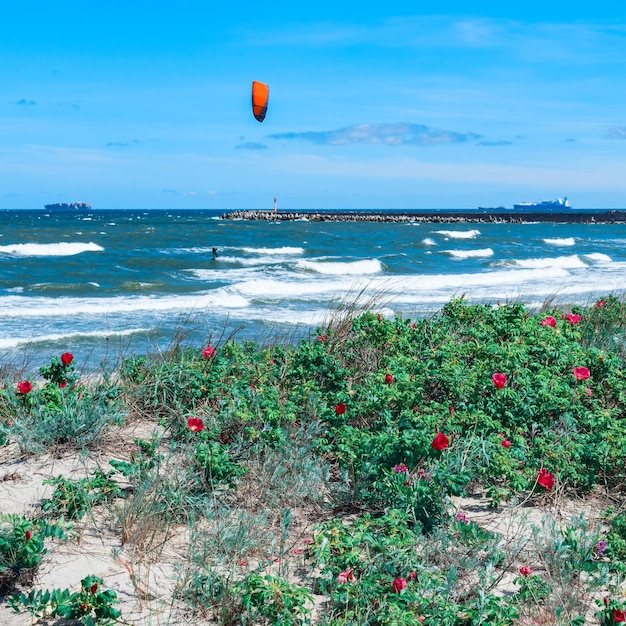 A beira-mar um kite surfista nas ondas um navio à distância