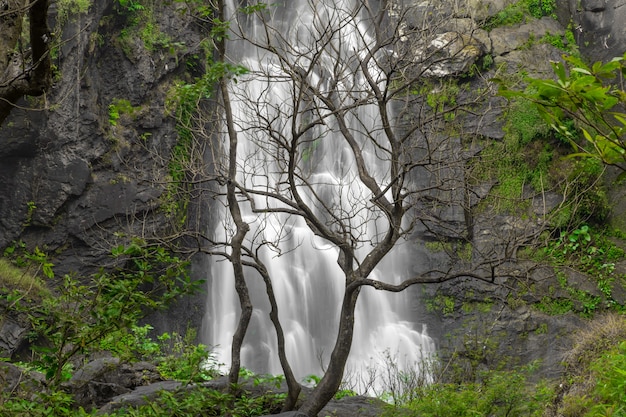 A bela cachoeira na floresta profunda em Khlong Lan National Park