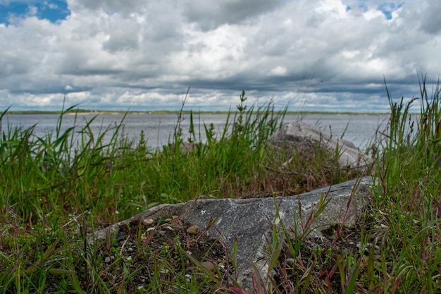 Foto a bela costa do rio volga