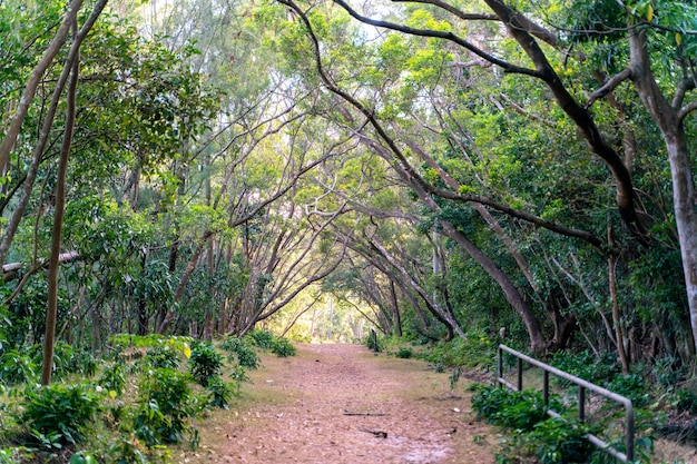 A bela estrada ensolarada para caminhadas no Sai Kung East Country Park em Hong Kong