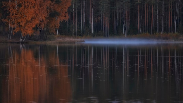 A bela floresta de outono é refletida na água de um lago nebuloso à noite