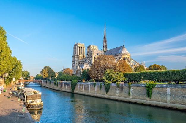 A bela Notre Dame de Paris na França ao amanhecer