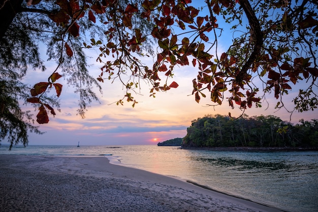 A bela paisagem da natureza colorida do sol no céu na praia da ilha de Tarutao durante o pôr do sol sobre o Mar de Andaman sob a sombra de uma árvore, Parque Nacional de Tarutao, Satun, Tailândia