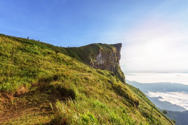 A bela paisagem da natureza pela manhã no pico da montanha com neblina de nuvens de sol e céu azul brilhante no inverno no Parque Florestal de Phu Chi Fa é uma famosa atração turística da província de Chiang Rai, Tailândia