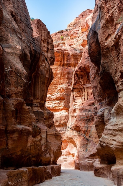 A bela siq gorge que leva à cidade rochosa de petra, na jordânia