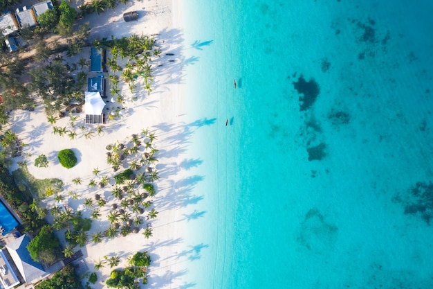 A bela vista aérea tropical da Ilha de Zanzibar.