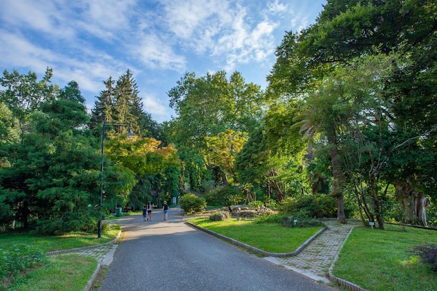 A bela vista do jardim botânico de batumi está localizada perto de batumi