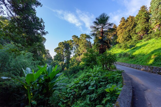 Foto a bela vista do jardim botânico de batumi está localizada perto de batumi