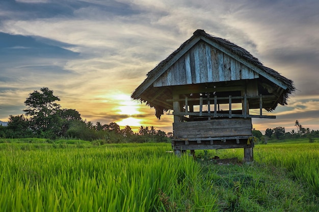 A beleza das cabanas do arrozal com o pôr do sol ao fundo