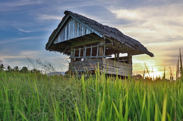 A beleza das cabanas do arrozal com o pôr do sol ao fundo