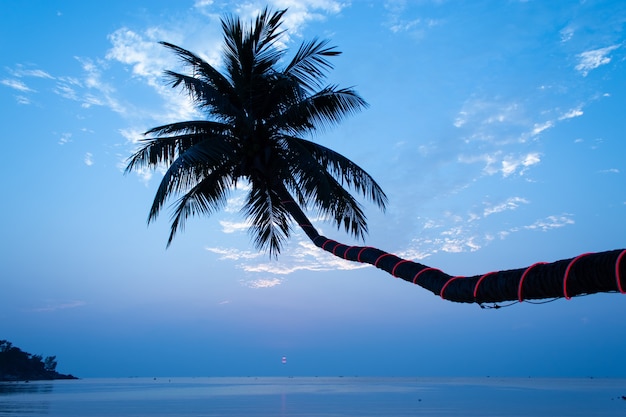 Foto a beleza do mar do por do sol sob coqueiros na praia da salada de haad, koh phangan