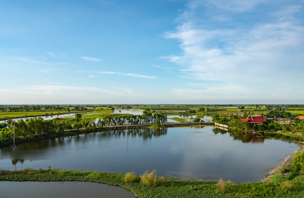 A beleza dos campos e lagos de peixes no campo.