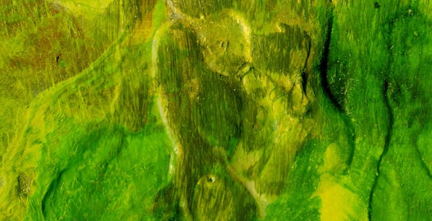 A Beleza Líquida Desvelando o Misterioso Atração da Arte Líquida em Óleo