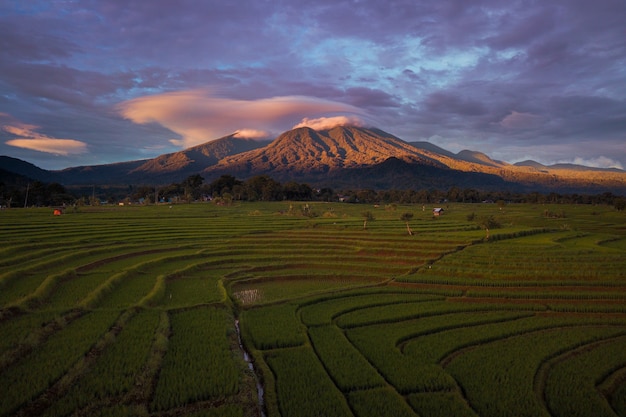 A beleza natural dos campos de arroz com montanhas azuis