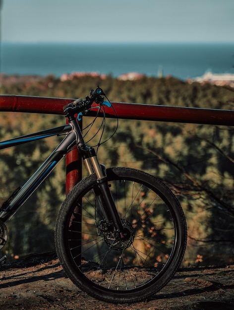 A bicicleta de montanha fica em frente a uma descida cênica com pinheiros e mar ao longe Ciclismo ao ar livre durante o conceito de verão