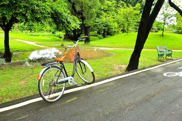 A bicicleta no caminho do parque