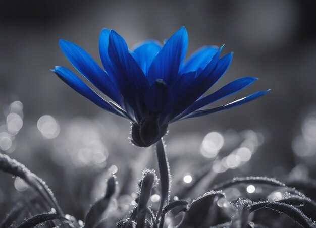 Foto a blumen in der natur schließen schöne rosa blütenblätter