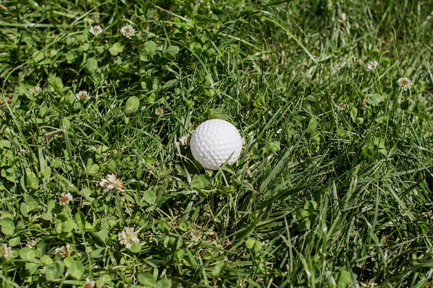 A bola de golfe encontra-se na grama verde