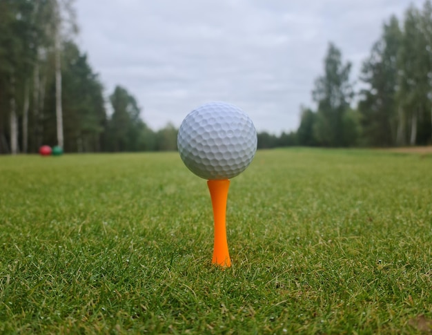 A bola de golfe está no tee laranja na grama verde