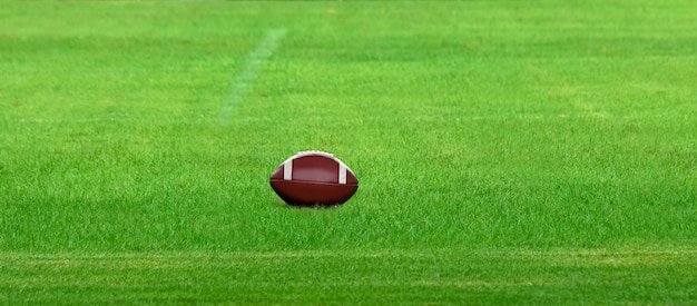 A bola de rugby repousa sobre o gramado verde.