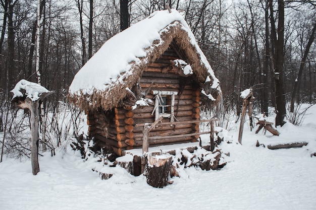 Foto a cabana fica na floresta na neve do inverno