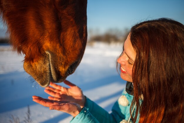 A cabeça de um cavalo e as mãos de uma menina fecham-se acima. Ela alimenta o cavalo vermelho