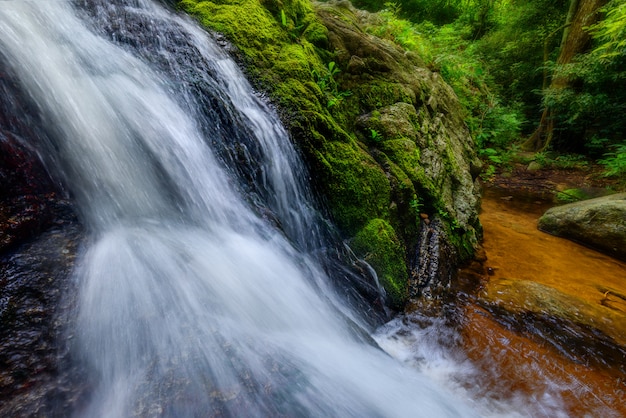 Foto a cachoeira na floresta com luz suave