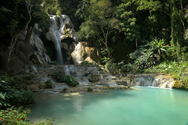 A cachoeira tat kwang si é uma grande cachoeira de água límpida e verde esmeralda em luang prabang, laos.