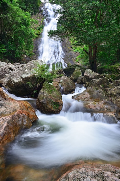 A cachoeira