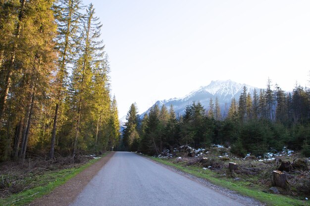 A caminho de Sea Eye na Polônia Estrada na floresta Tatry