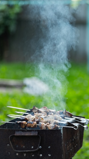 A carne é frita em espetos no mangal. Carne de churrasco em espetos na fumaça. Kebab grelhado cozinhando em uma casa de campo. Copie o espaço