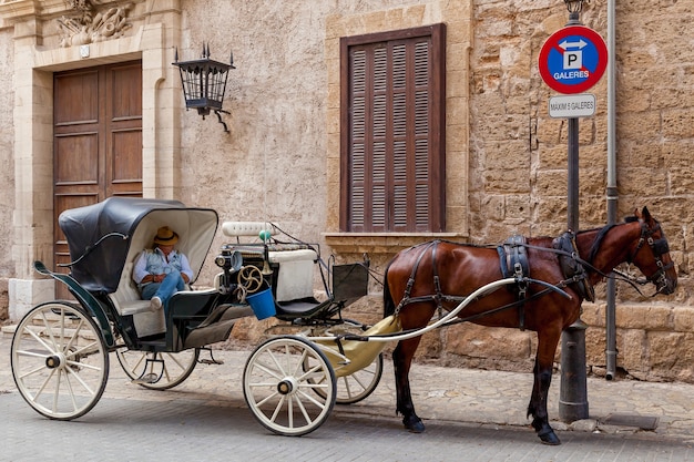 A carroça com o cavalo. A carroça com um cavalo baio gracioso e dormindo nela um cocheiro estacionado em frente à galeria.