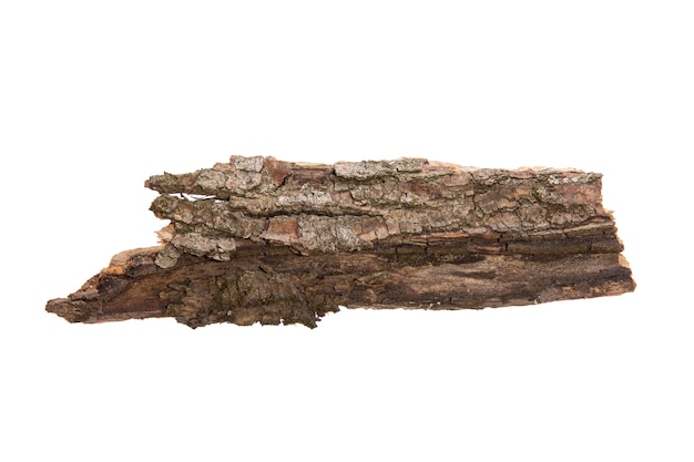 A casca da árvore é isolada em um fundo branco. textura de madeira