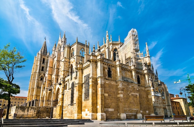 A catedral de leon na espanha