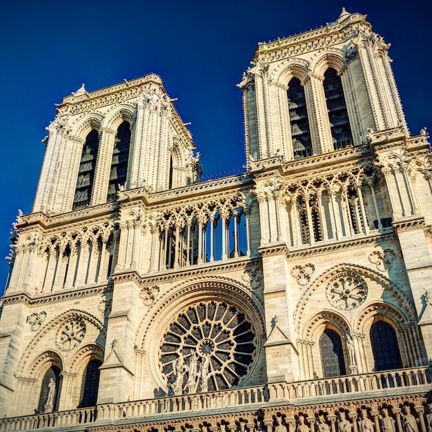 A Catedral de Notre Dame de Paris