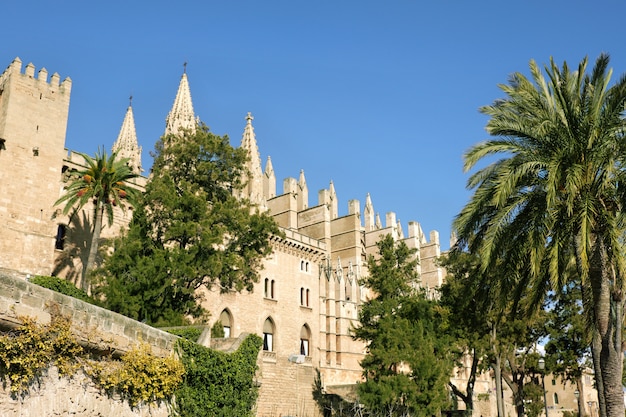 Foto a, catedral, de, santa maria, de, palma mallorca, espanha