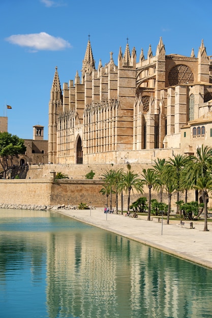 Foto a, catedral, de, santa maria, de, palma mallorca, espanha