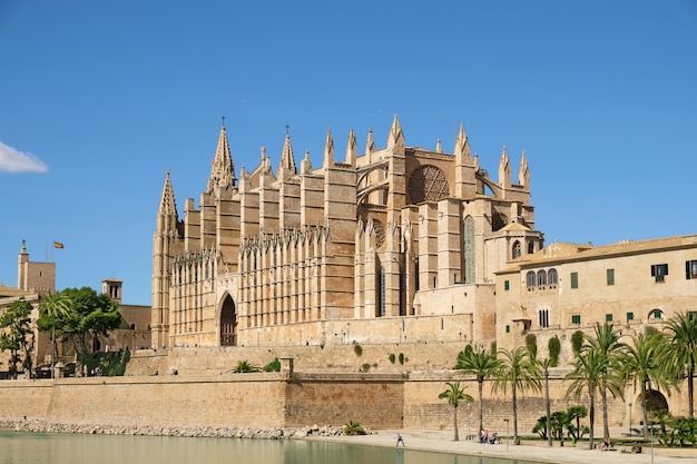 Foto a, catedral, de, santa maria, de, palma mallorca, espanha