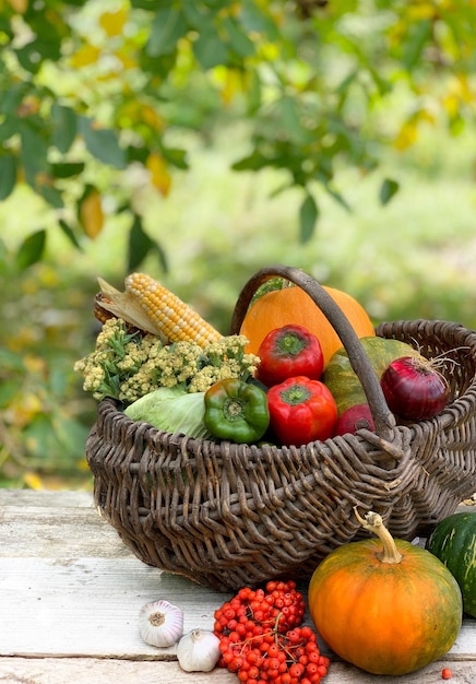 a cesta de legumes de outono