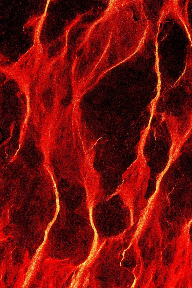 A chama de um incêndio florestal com cinzas e faíscas crescentes A textura e o padrão do fogo