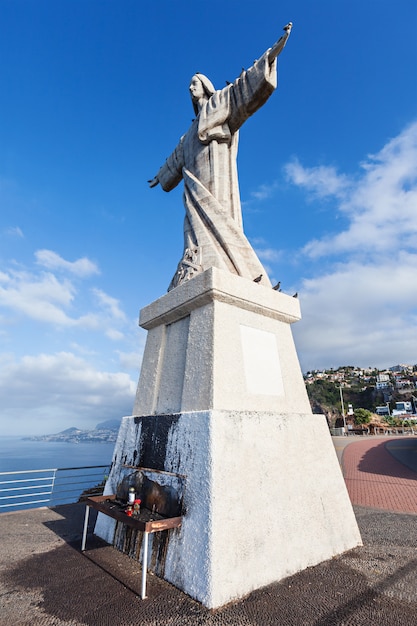 A, christ, rei, estátua, ligado, madeira, ilha, portugal