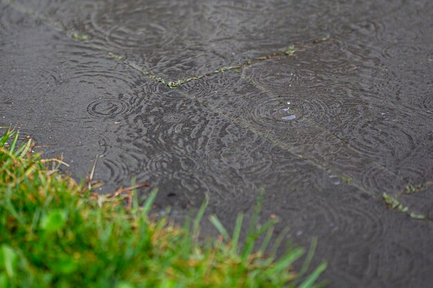 A chuva cai na água