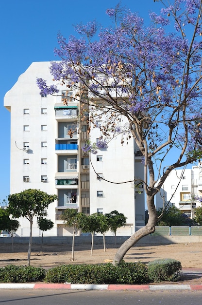 Foto a cidade de ashkelon em israel